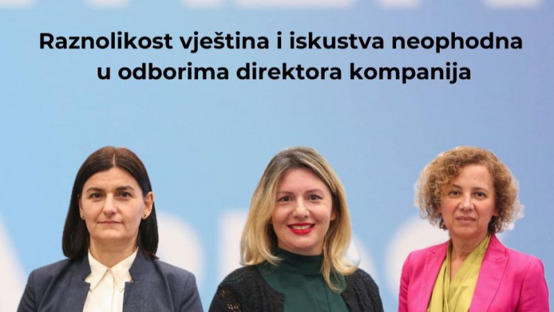 Raznolikost vještina i iskustva neophodna u odborima direktora kompanija